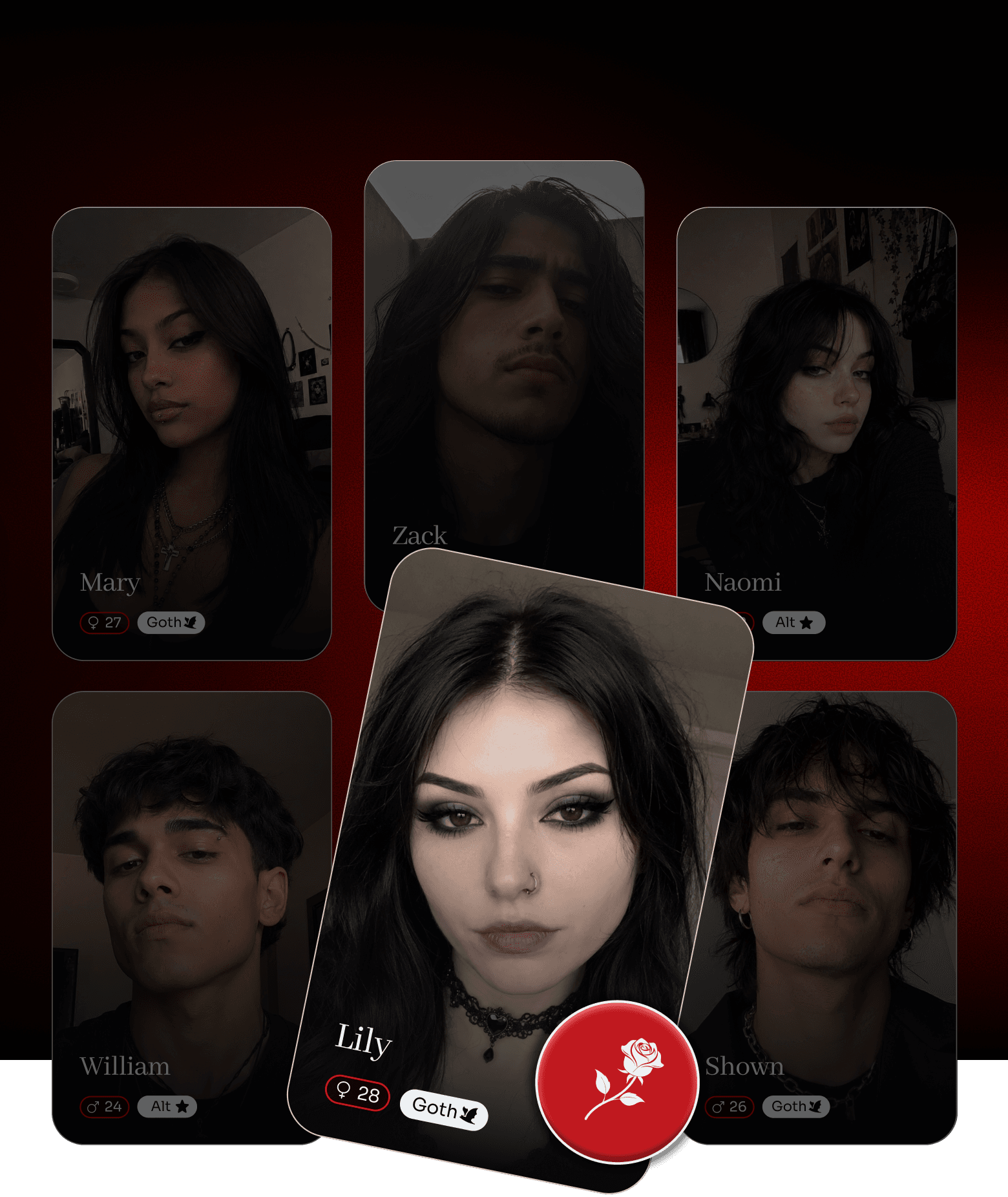DarkHeart profile cards